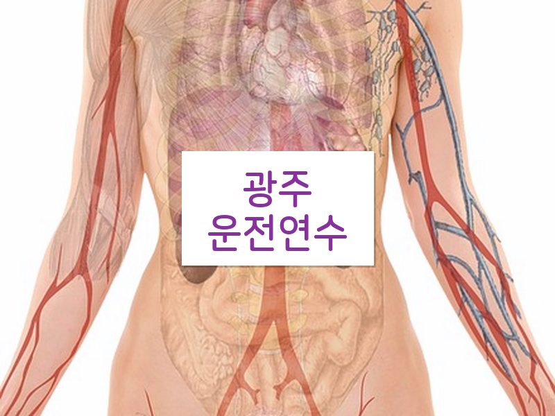 광주운전연수 후기