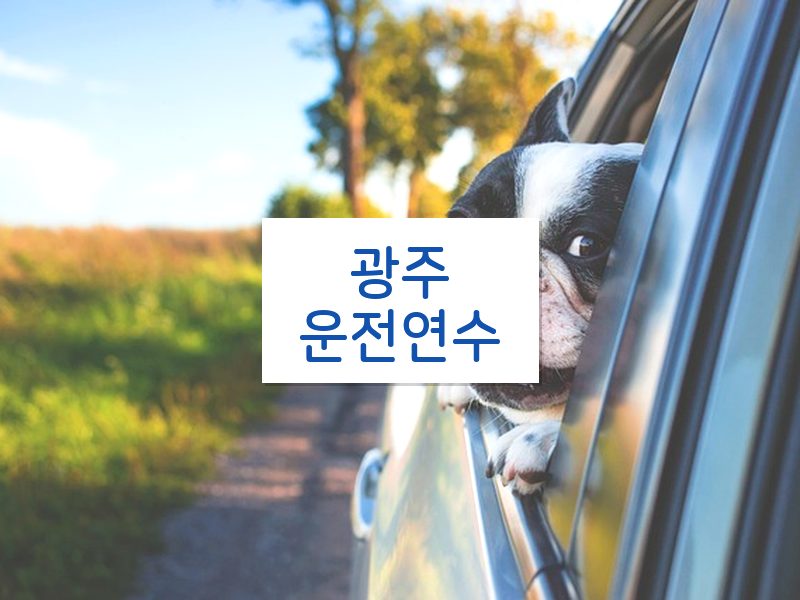 광주운전연수 후기