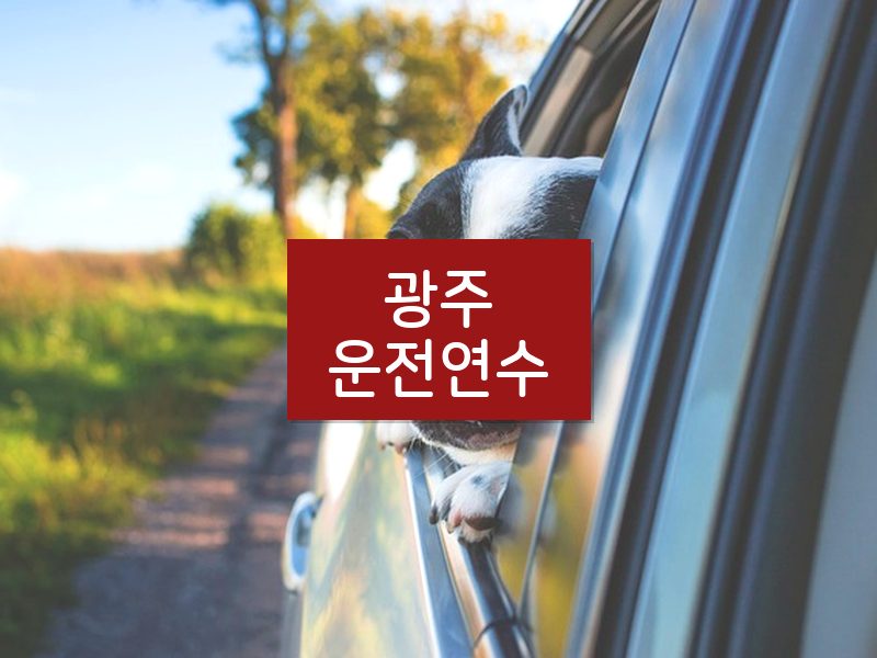 광주운전연수 후기