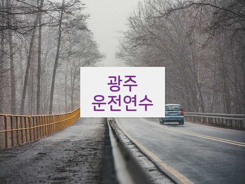 광주운전연수 후기