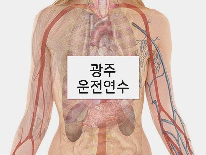 광주운전연수 후기