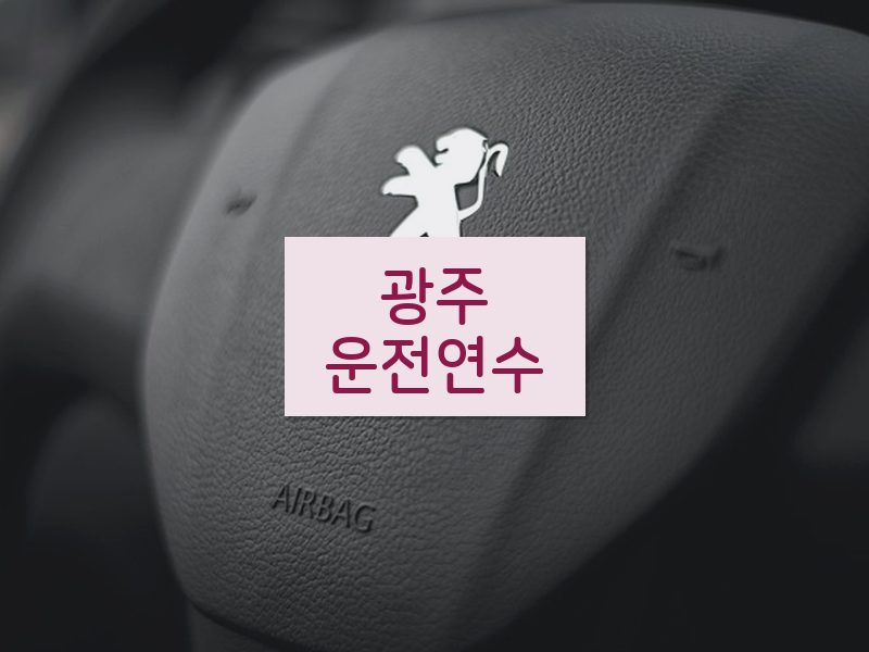 광주운전연수 후기