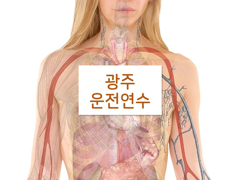 광주운전연수 후기