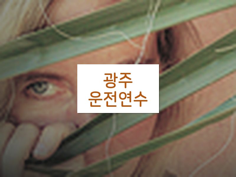 광주운전연수 후기