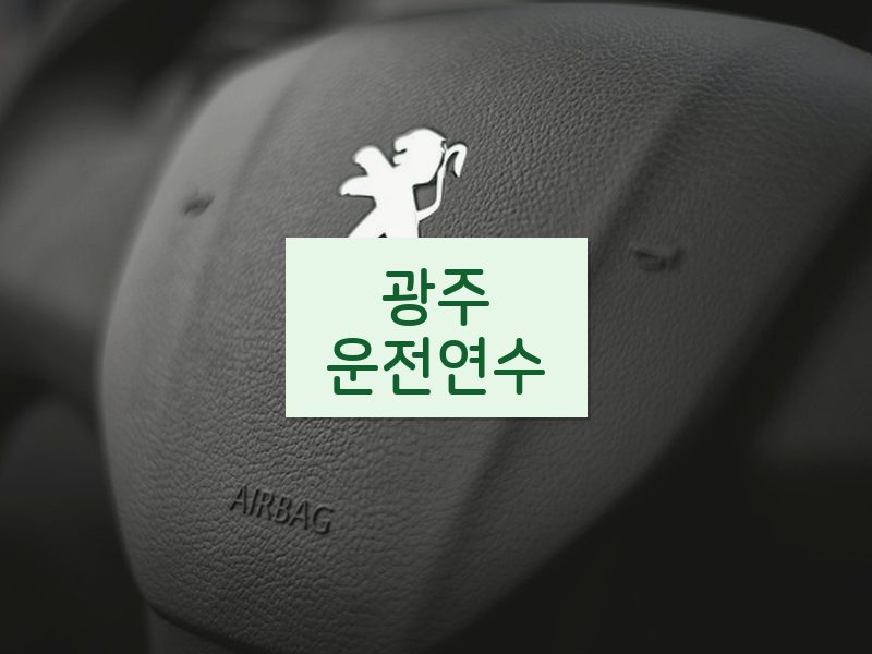 광주운전연수 후기