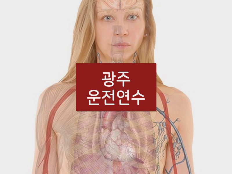 광주운전연수 후기