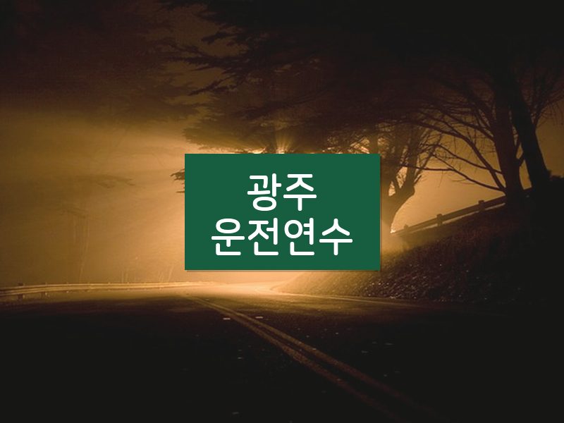 광주운전연수 후기