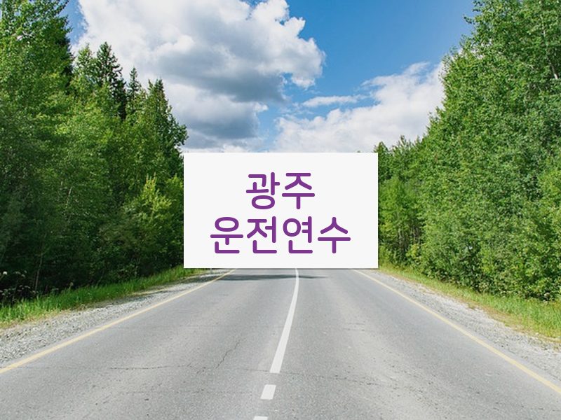 광주운전연수 후기