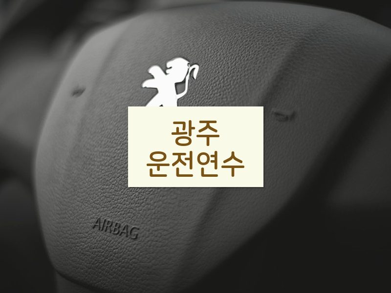 광주운전연수 후기