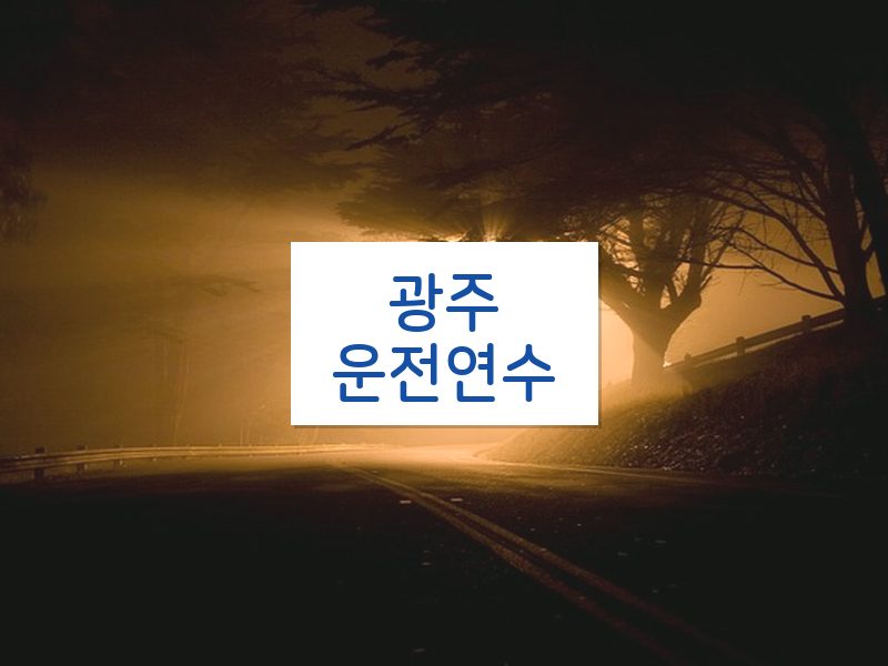 광주운전연수 후기