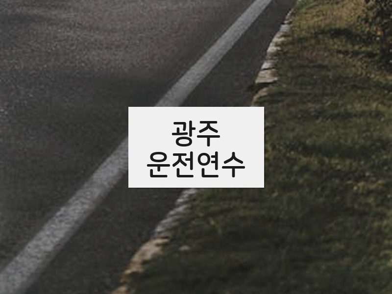 광주운전연수 후기