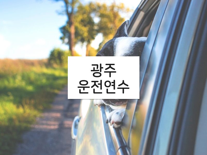 광주운전연수 후기