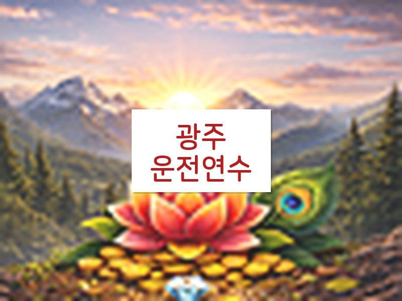 광주운전연수 후기