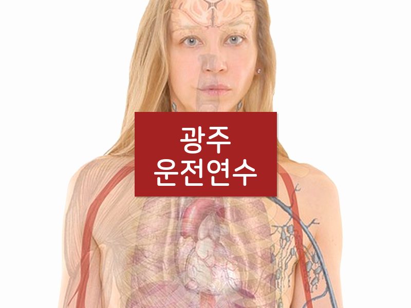 광주운전연수 후기