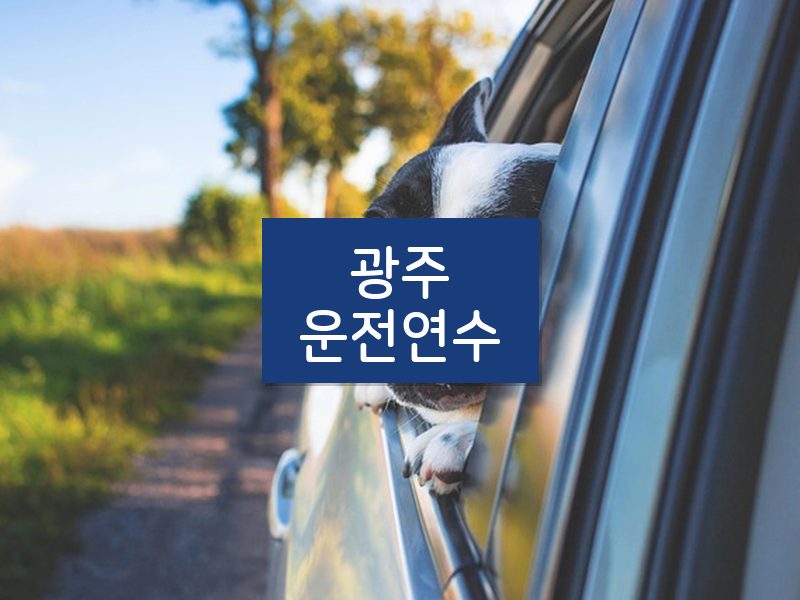 광주운전연수 후기