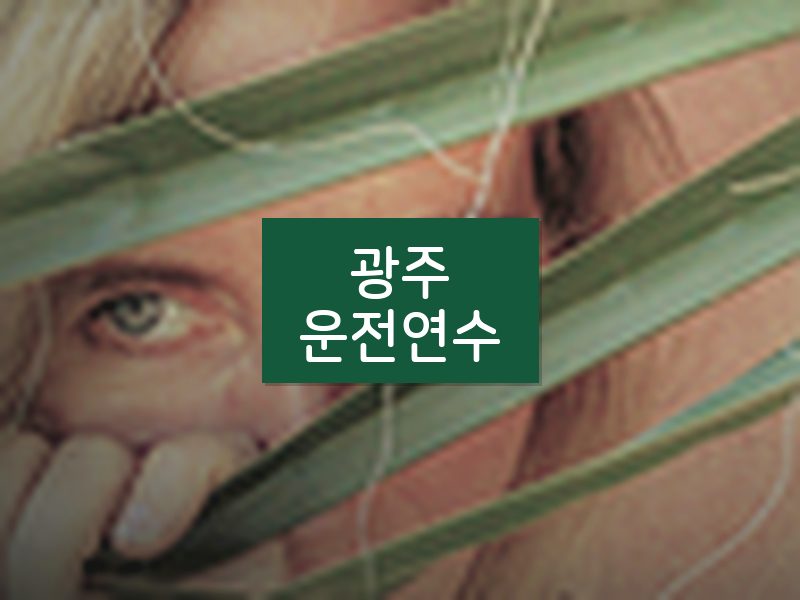 광주운전연수 후기