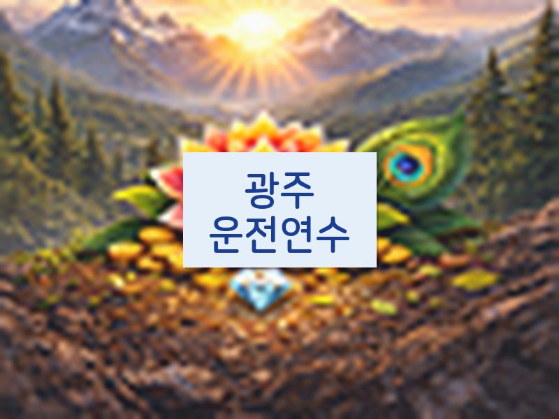 광주운전연수 후기