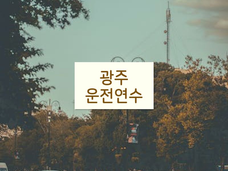 광주운전연수 후기