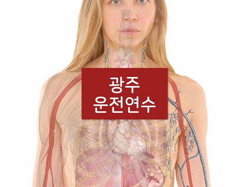 광주운전연수 후기