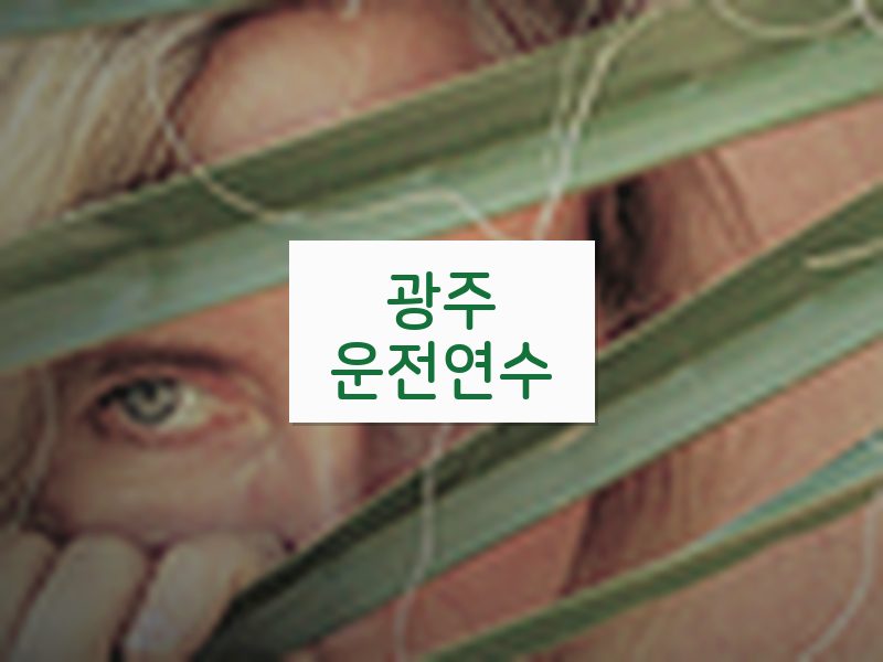 광주운전연수 후기