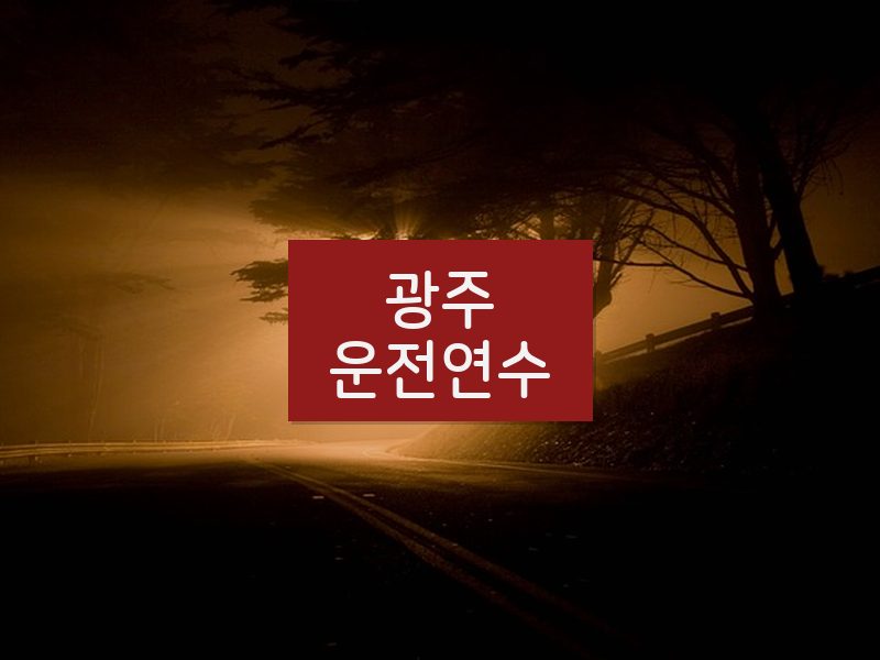 광주운전연수 후기