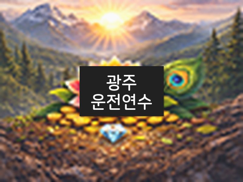 광주운전연수 후기