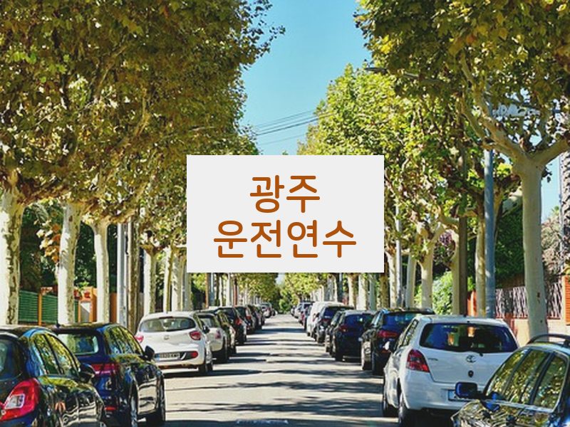 광주운전연수 후기