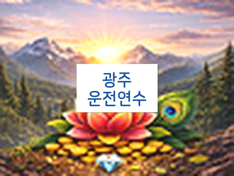 광주운전연수 후기