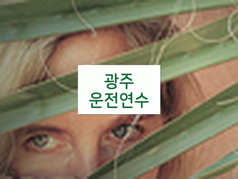 광주운전연수 후기