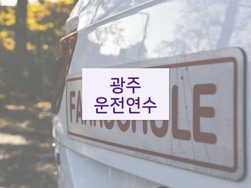 광주운전연수 후기