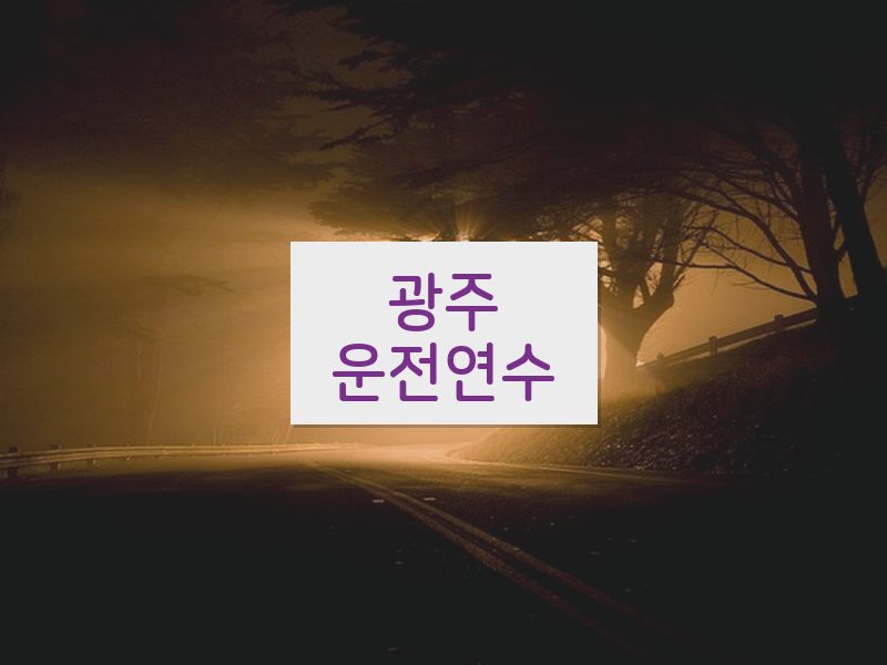 광주운전연수 후기