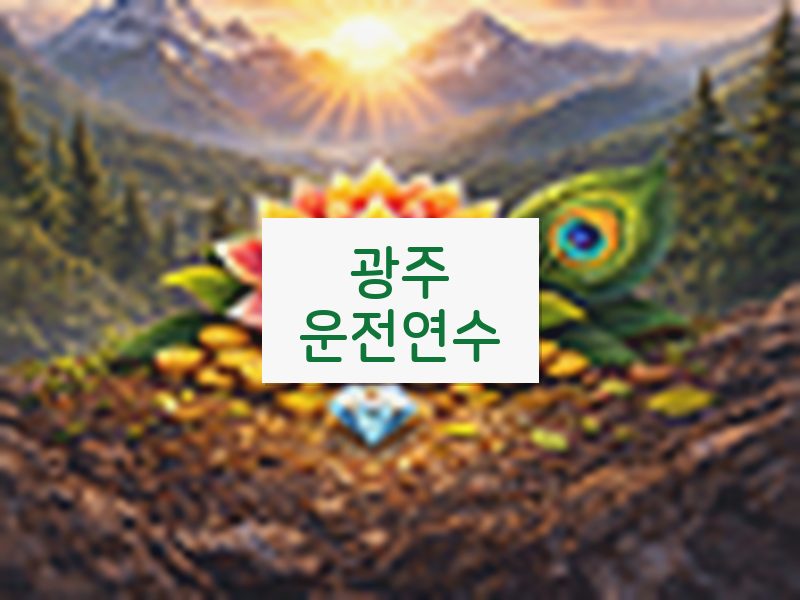광주운전연수 후기