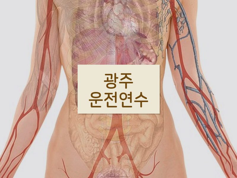 광주운전연수 후기