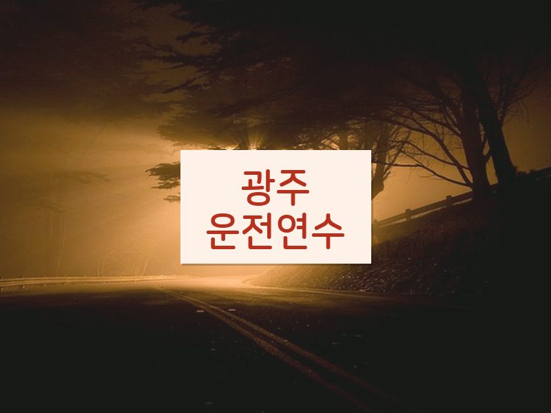 광주운전연수 후기