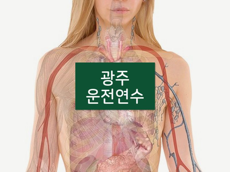 광주운전연수 후기