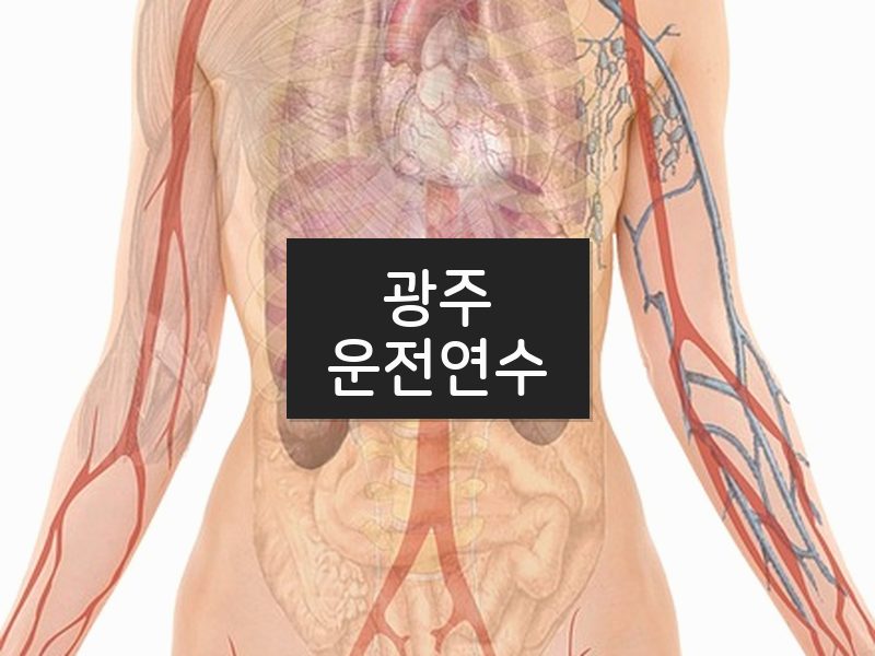 광주운전연수 후기