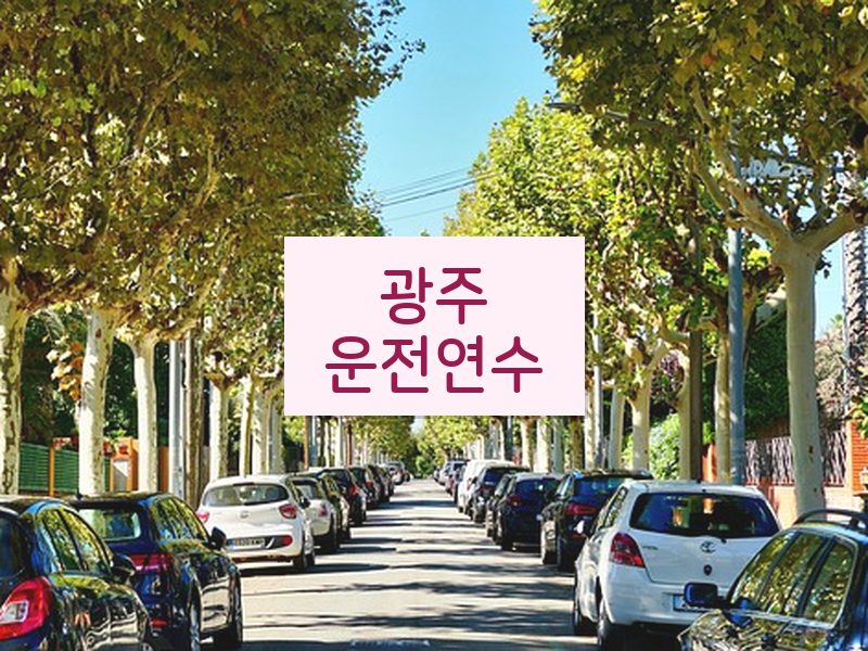 광주운전연수 후기