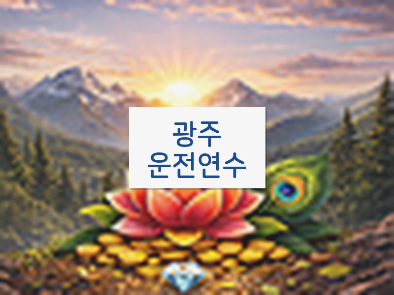 광주운전연수 후기