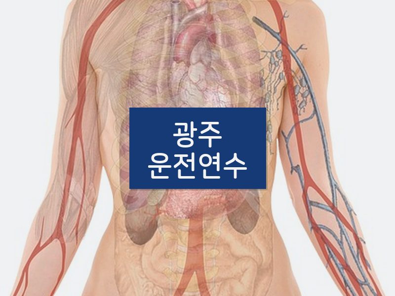 광주운전연수 후기