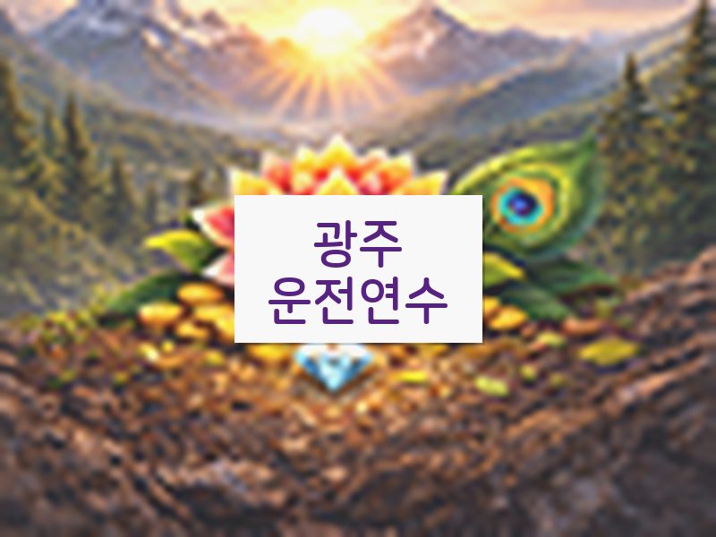 광주운전연수 후기