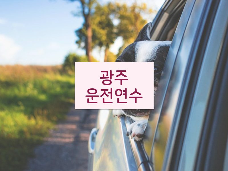 광주운전연수 후기